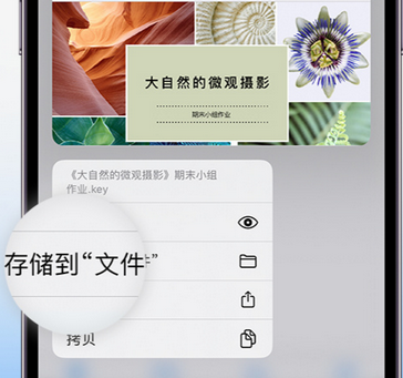 涿州apple维修中心分享iPhone文件应用中存储和找到下载文件