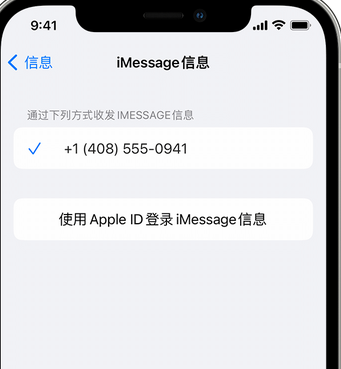 涿州apple维修iPhone上无法正常发送iMessage信息