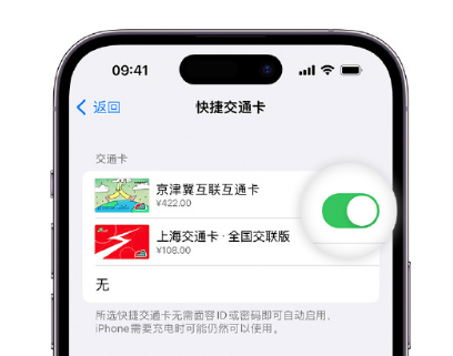 涿州apple维修点分享iPhone上更换Apple Pay快捷交通卡手绘卡面 