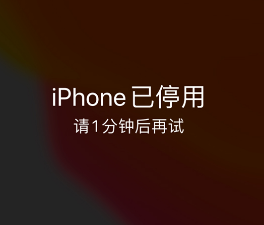 涿州苹果手机维修分享:iPhone 显示“不可用”或“已停用”怎么办？还能保留数据吗？ 