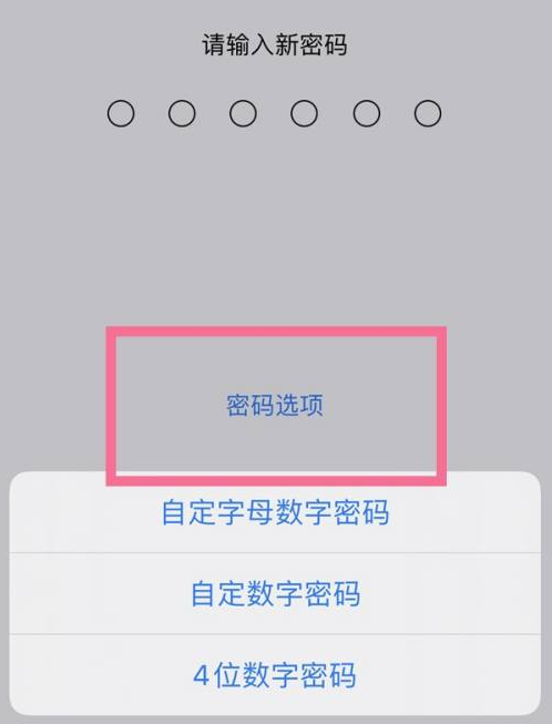 涿州苹果14维修分享iPhone 14plus设置密码的方法 