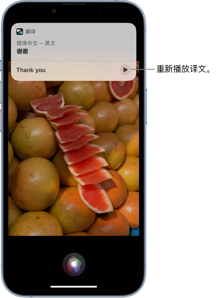 涿州苹果14维修分享 iPhone 14 机型中使用 Siri：了解 Siri 能帮你做什么 