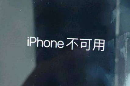 涿州苹果服务网点分享锁屏界面显示“iPhone 不可用”如何解决 