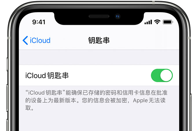 涿州苹果手机维修分享在 iPhone 上开启 iCloud 钥匙串之后会储存哪些信息 