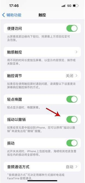 涿州苹果手机维修分享iPhone手机如何设置摇一摇删除文字 